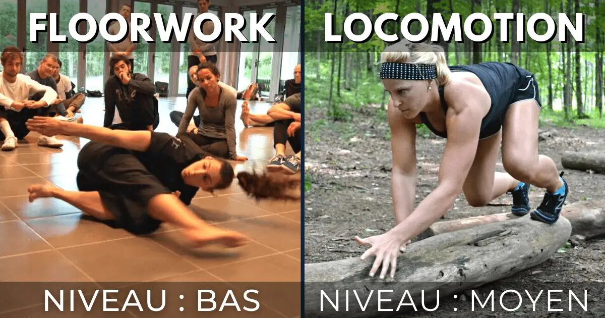 Floorwork niveau bas et Locomotion niveau moyen | MOUVERS Nomadslim Movement