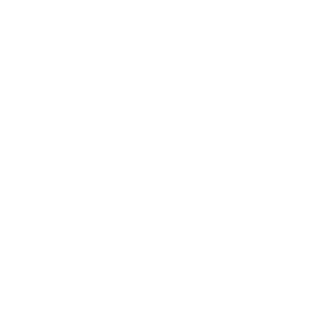 Dojo des Mouvers santé holistique Icon | MOUVERS Nomadslim Movement
