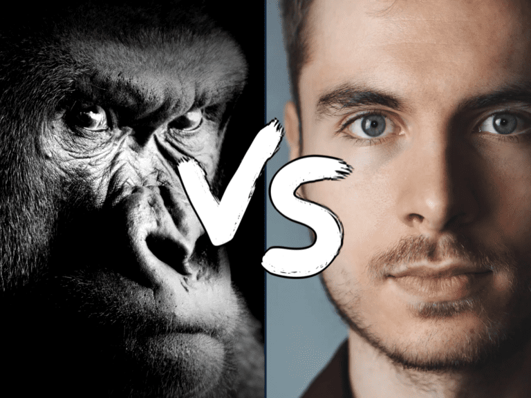 Homme vs Gorille alimentation Feature | MOUVERS Nomadslim Movement