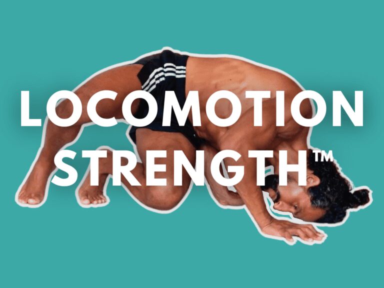 Formation LOCOMOTION STRENGTH Feature | MOUVERS Académie