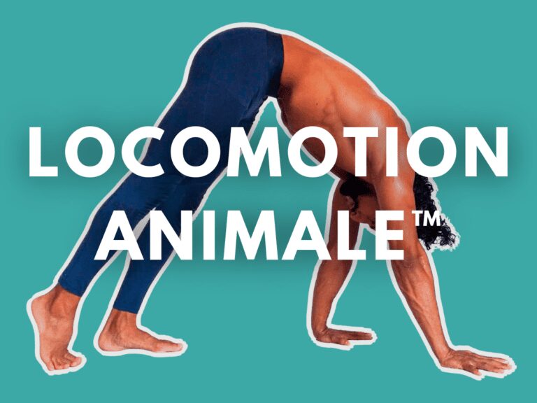 Formation LOCOMOTION ANIMALE Feature | MOUVERS Académie