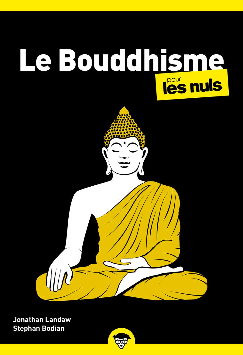 Le Bouddhisme pour les Nuls (Stephan Bodian) | MOUVERS Podcast
