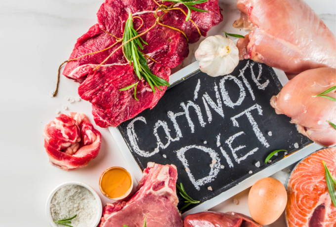 Carnivore Diet art parent carnivore feature MOUVERS BLOG