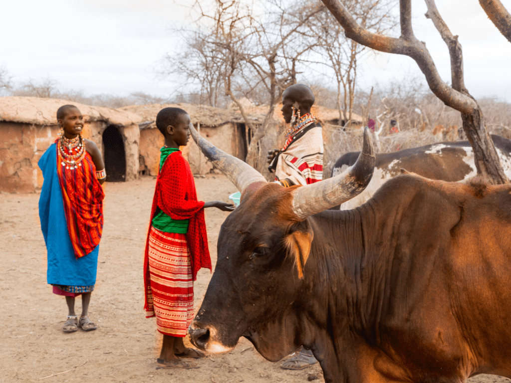 Maasai art 6 carnivore feature MOUVERS BLOG