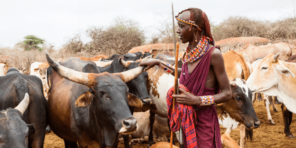 Maasai art parent carnivore feature MOUVERS BLOG