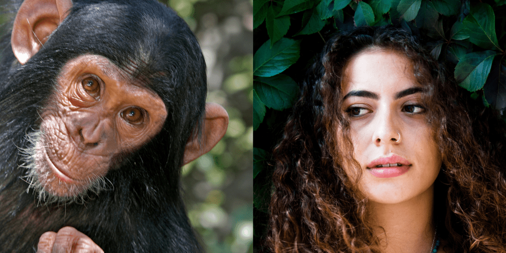singe humain art parent carnivore feature MOUVERS BLOG